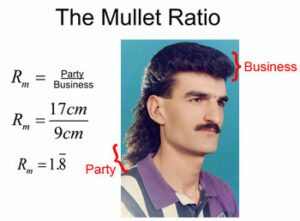 mullet-ratio