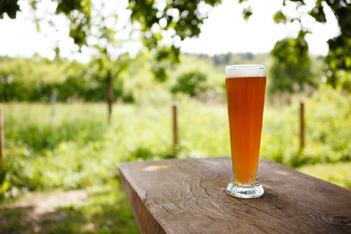 Top 7 wheat beers for summer